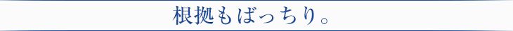 根拠もばっちり。