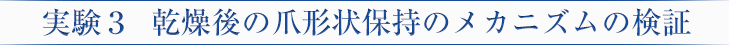 実験3 乾燥後の爪形状保持のメカニズムの検証