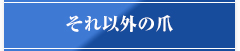 それ以外の爪